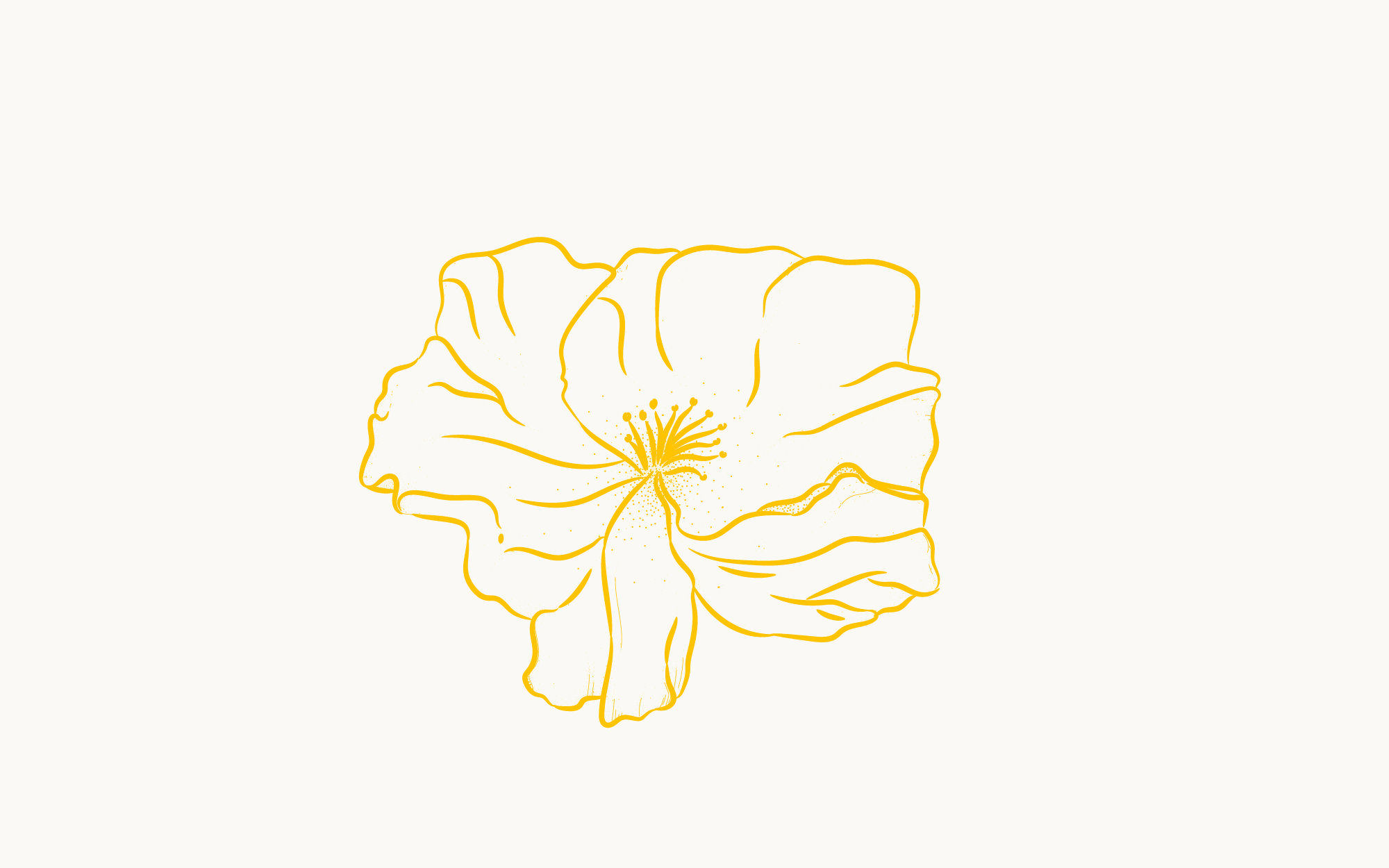5 1