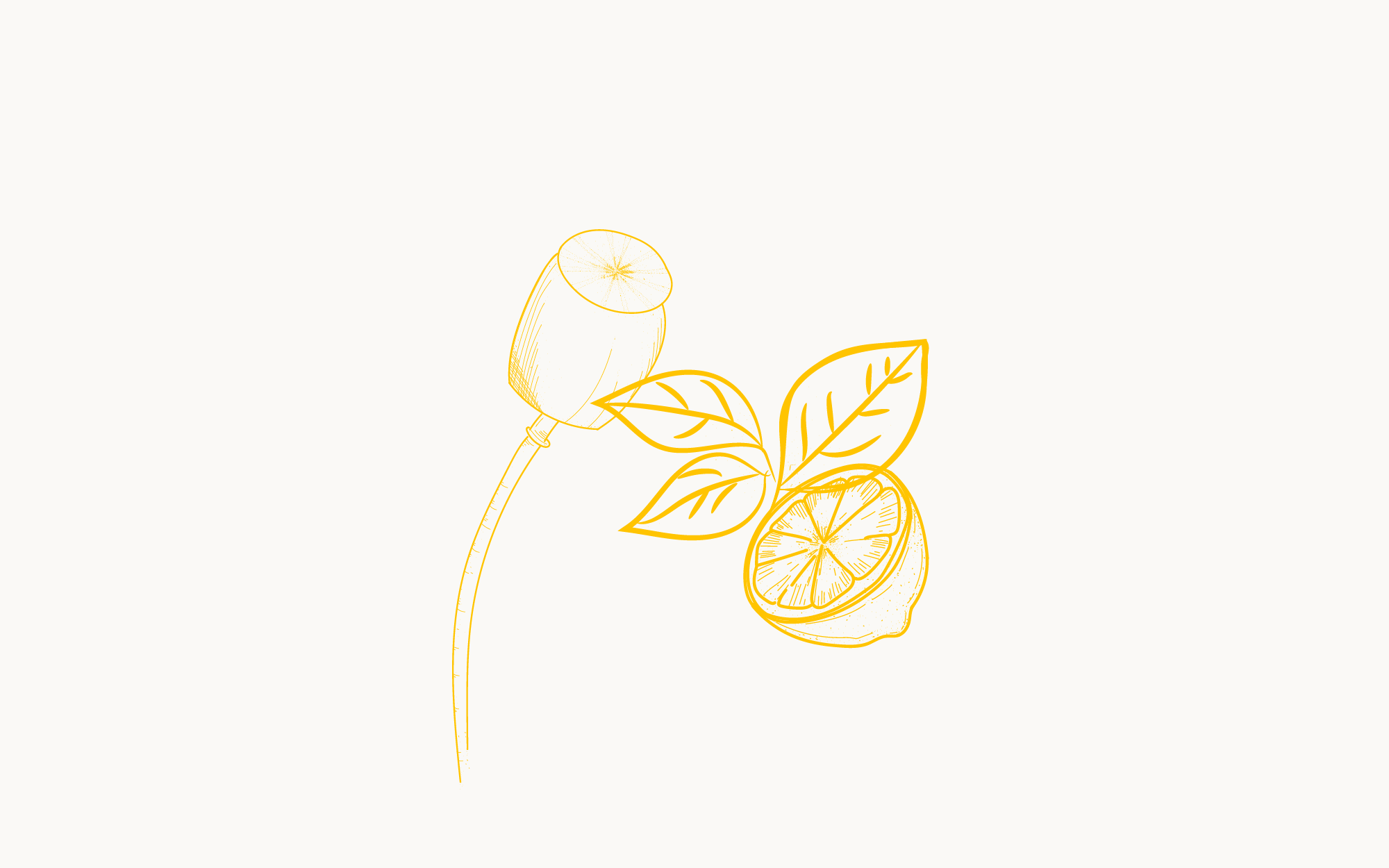 5 2